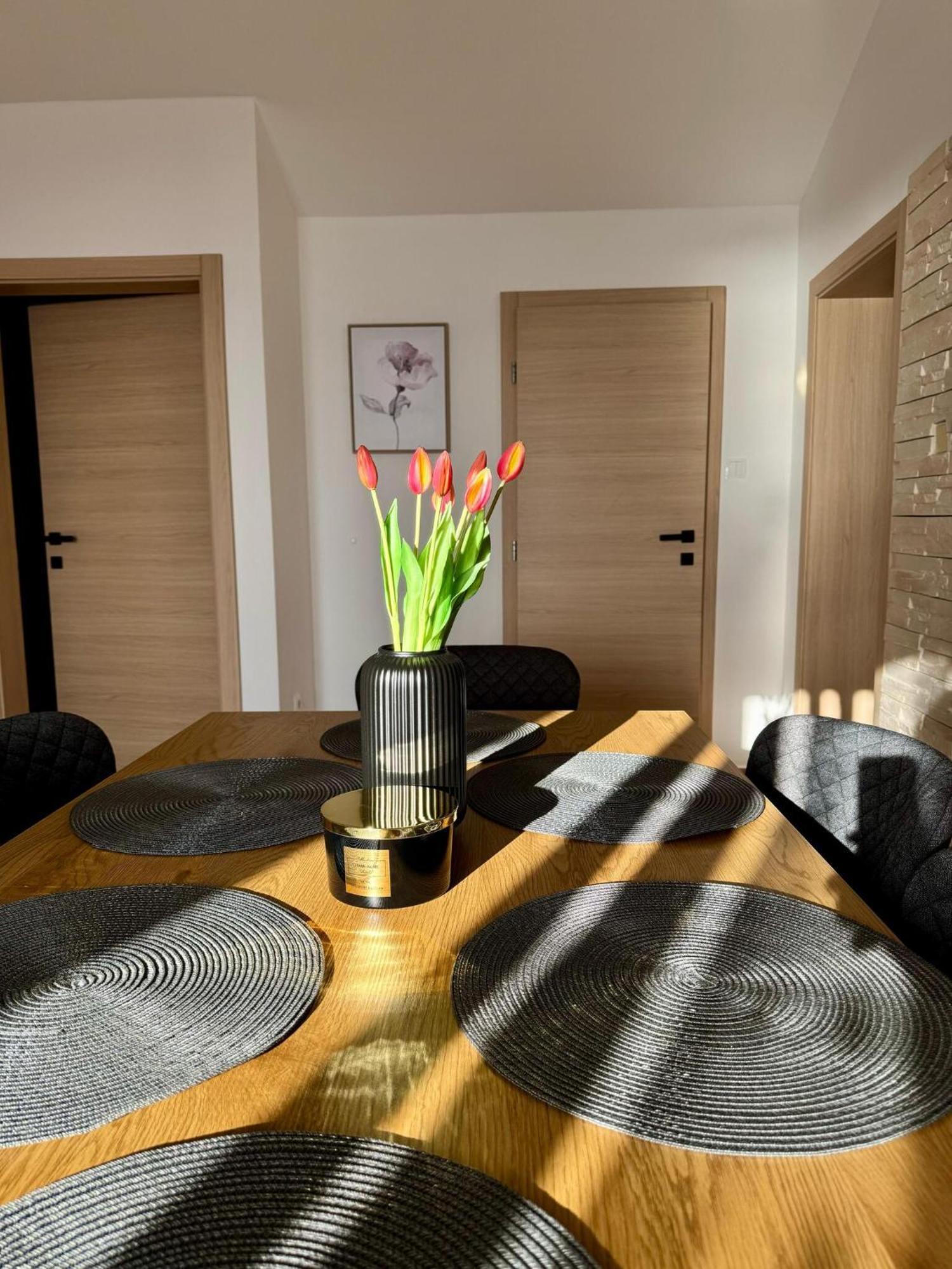 Apartments Franko Povljana Extérieur photo